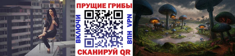 купить  сайты  Киреевск  Галлюциногенные грибы ЛСД 